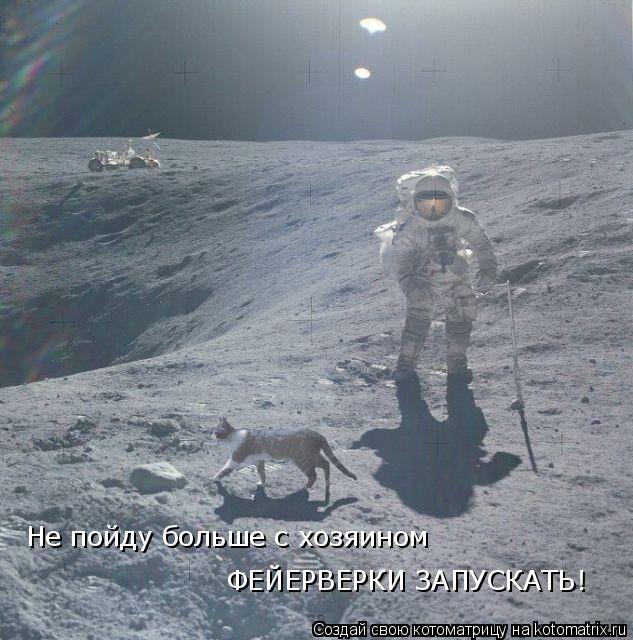 Не пойду больше с хозяином ФЕЙЕРВЕРКИ ЗАПУСКАТЬ!... Котоматрица: Не пойду больше с хозяином ФЕЙЕРВЕРКИ ЗАПУСКАТЬ!