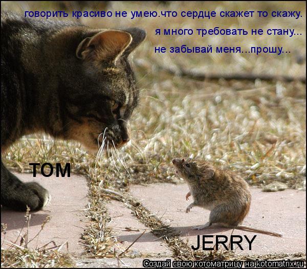 JERRY том говорить красиво не умею.что сердце скажет то скажу. я много требовать не стану... не забыв... Котоматрица: JERRY том говорить красиво не умею.что сердце скажет то скажу. я много требовать не стану... не забывай меня...прошу...