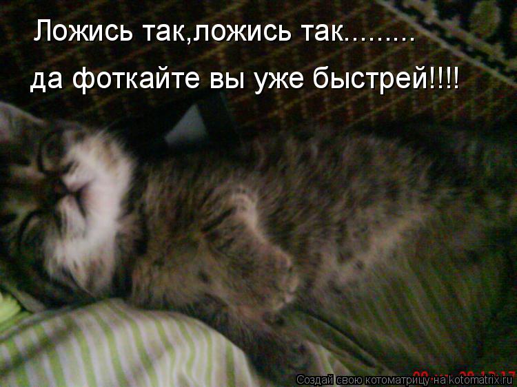 Ложись так,ложись так......... да фоткайте вы уже быстрей!!!!... Котоматрица: Ложись так,ложись так......... да фоткайте вы уже быстрей!!!!
