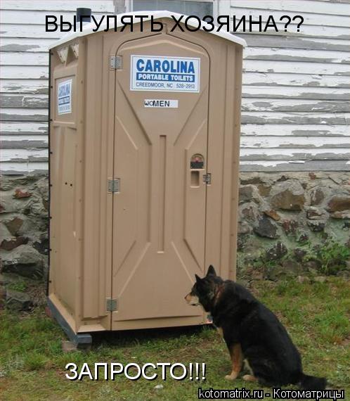 ВЫГУЛЯТЬ ХОЗЯИНА?? ЗАПРОСТО!!!... Котоматрица: ВЫГУЛЯТЬ ХОЗЯИНА?? ЗАПРОСТО!!!