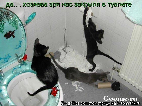 да.... хозяева зря нас закрыли в туалете... Котоматрица: да.... хозяева зря нас закрыли в туалете