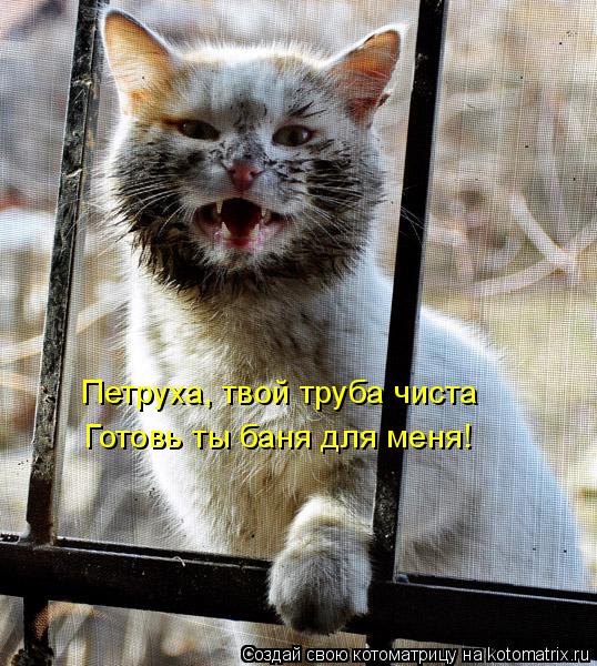 Петруха, твой труба чиста Готовь ты баня для меня!... Котоматрица: Петруха, твой труба чиста Готовь ты баня для меня!