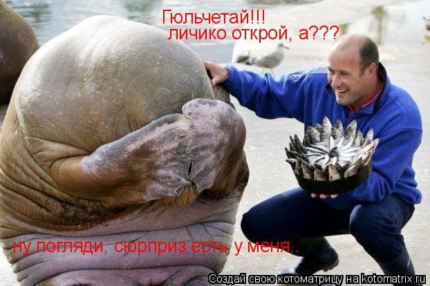 Гюльчетай!!! личико открой, а??? ну погляди, сюрприз есть у меня..... Котоматрица: Гюльчетай!!! личико открой, а??? ну погляди, сюрприз есть у меня..