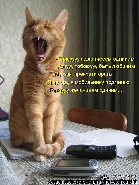 -Горюуууу желаниееем однииим Хочууу тобоюууу быть любииим -Мурзик, прекрати орать! -Я не ору, я мобил... Котоматрица: -Горюуууу желаниееем однииим Хочууу тобоюууу быть любииим -Мурзик, прекрати орать! -Я не ору, я мобильнику подпеваю Горюууу желаниеем однии