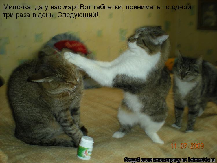 Милочка, да у вас жар! Вот таблетки, принимать по одной три раза в день. Следующий!... Котоматрица: Милочка, да у вас жар! Вот таблетки, принимать по одной три раза в день. Следующий!