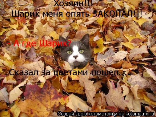 Хозяин!!! Шарик меня опять ЗАКОПАЛ!!! - А где Шарик? Сказал за цветами пошел....... Котоматрица: Хозяин!!! Шарик меня опять ЗАКОПАЛ!!! - А где Шарик? Сказал за цветами пошел....
