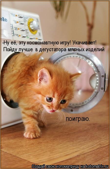 поиграю. -Ну её, эту космонавтную игру! Укачивает! Пойду лучше в дегустатора мясных изделий... Котоматрица: поиграю. -Ну её, эту космонавтную игру! Укачивает! Пойду лучше в дегустатора мясных изделий