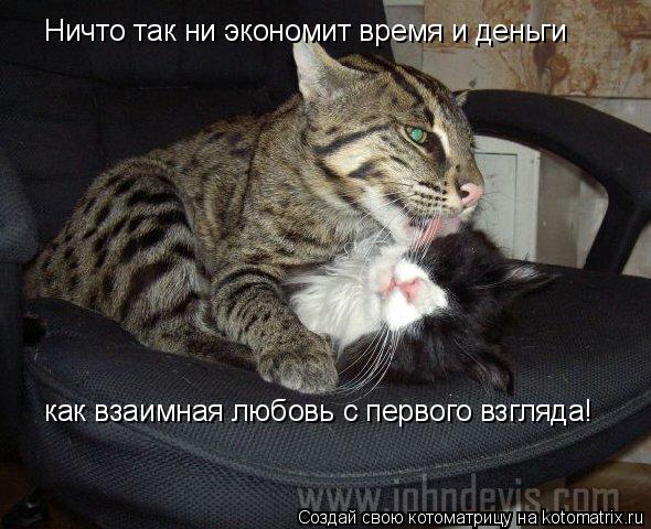 Котоматрица: Ничто так ни экономит время и деньги Ничто так ни экономит время и деньги как взаимная любовь с первого взгляда!