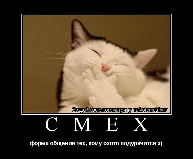 Котоматрица: С М Е Х форма общения тех, кому охото подурачится х)
