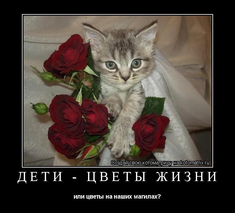 Котоматрица: Дети - цветы жизни или цветы на наших магилах?