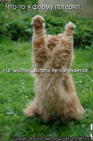 Котоматрица: Что-то я форму потерял... На "мостик" встать не получается!