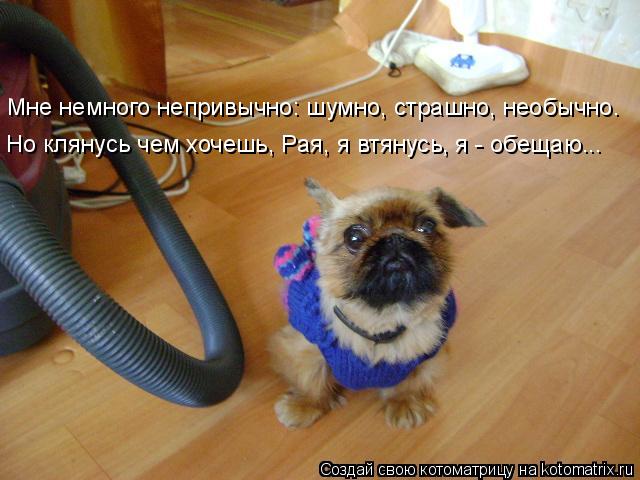 Котоматрица: Мне немного непривычно: шумно, страшно, необычно. Но клянусь чем хочешь, Рая, я втянусь, я - обещаю...