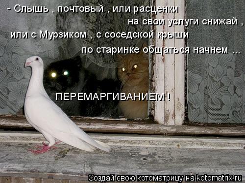 - Слышь , почтовый , или расценки на свои услуги снижай , или с Мурзиком , с соседской крыши по с... Котоматрица: - Слышь , почтовый , или расценки на свои услуги снижай , или с Мурзиком , с соседской крыши по старинке общаться начнем ... ПЕРЕМАРГИВАНИЕМ !