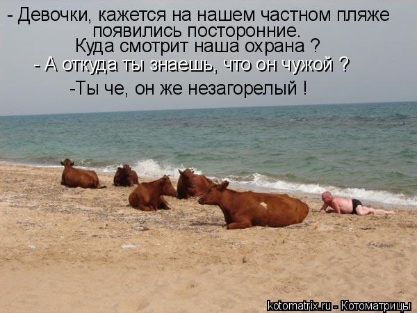 - Девочки, кажется на нашем частном пляже появились посторонние. Куда смотрит наша охрана ? - А отку... Котоматрица: - Девочки, кажется на нашем частном пляже появились посторонние. Куда смотрит наша охрана ? - А откуда ты знаешь, что он чужой ? -Ты че, он же не