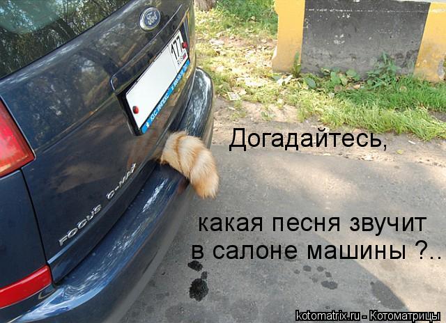 Котоматрица: какая песня звучит  в салоне машины ?.. Догадайтесь,