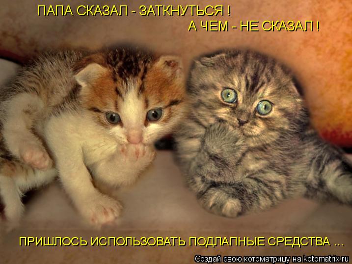 ПАПА СКАЗАЛ - ЗАТКНУТЬСЯ ! ПАПА СКАЗАЛ - ЗАТКНУТЬСЯ ! А ЧЕМ - НЕ СКАЗАЛ ! ПРИШЛОСЬ ИСПОЛЬЗОВАТЬ ПО... Котоматрица: ПАПА СКАЗАЛ - ЗАТКНУТЬСЯ ! ПАПА СКАЗАЛ - ЗАТКНУТЬСЯ ! А ЧЕМ - НЕ СКАЗАЛ ! ПРИШЛОСЬ ИСПОЛЬЗОВАТЬ ПОДЛАПНЫЕ СРЕДСТВА ...