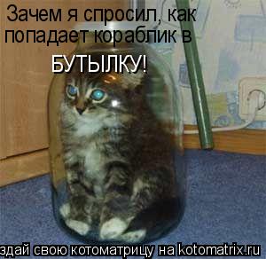 Котоматрица: Зачем я спросил, как  попадает кораблик в  БУТЫЛКУ!