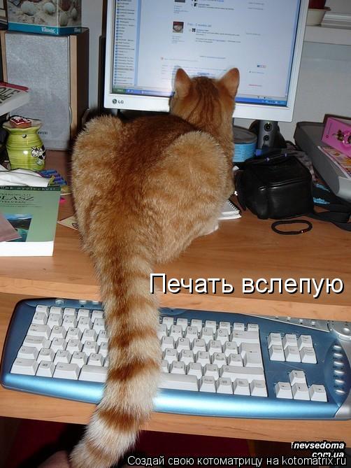 Котоматрица: Печать вслепую