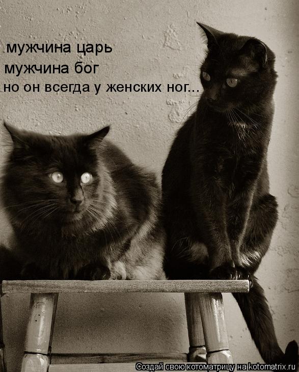 Котоматрица: мужчина царь мужчина бог но он всегда у женских ног...