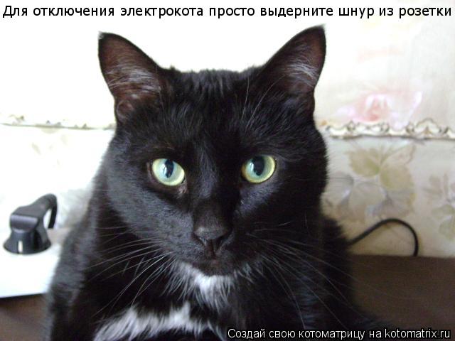 Котоматрица: Для отключения электрокота просто выдерните шнур из розетки