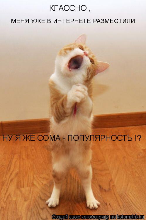 Котоматрица: МЕНЯ УЖЕ В ИНТЕРНЕТЕ РАЗМЕСТИЛИ КЛАССНО , НУ Я ЖЕ СОМА - ПОПУЛЯРНОСТЬ !?