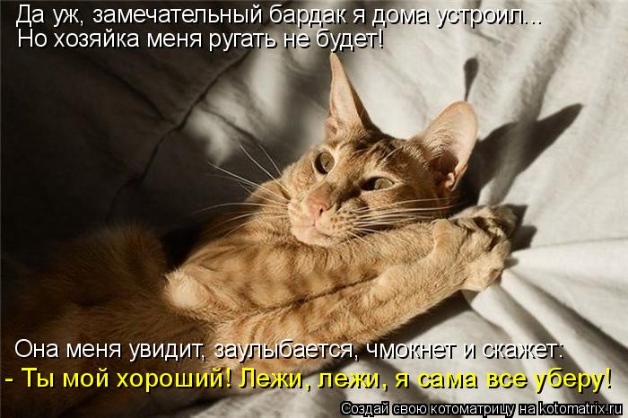 Да уж, замечательный бардак я дома устроил... Но хозяйка меня ругать не будет! Она меня увидит, заулы... Котоматрица: Да уж, замечательный бардак я дома устроил... Но хозяйка меня ругать не будет! Она меня увидит, заулыбается, чмокнет и скажет: - Ты мой хороший!