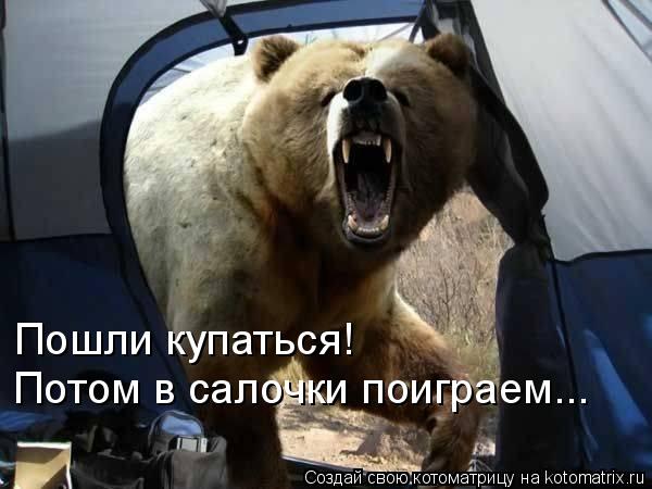 Котоматрица: Пошли купаться! Потом в салочки поиграем...