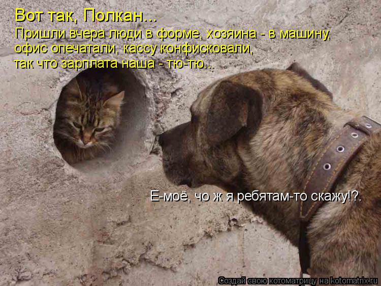 Котоматрица: Вот так, Полкан... Пришли вчера люди в форме, хозяина - в машину, офис опечатали, кассу конфисковали,  так что зарплата наша - тю-тю... Е-моё, чо ж 