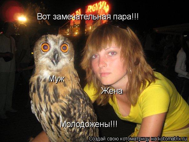 Котоматрица: Вот замечательная пара!!! Муж Жена Молодожены!!!