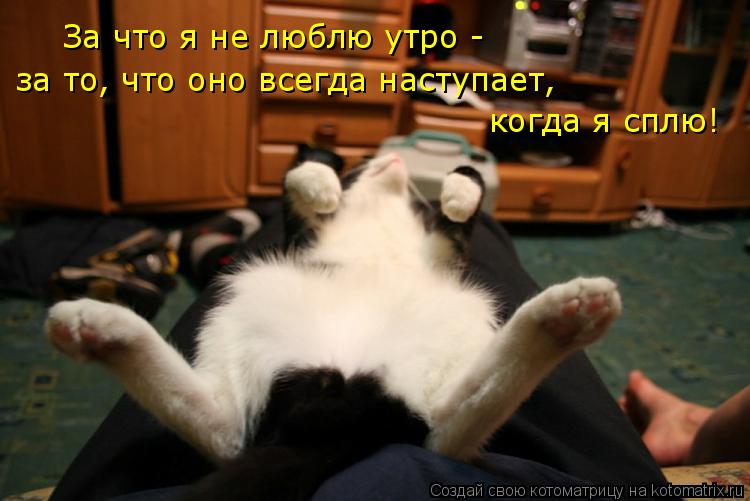Котоматрица: За что я не люблю утро - за то, что оно всегда наступает, когда я сплю! За что я не люблю утро -  за то, что оно всегда наступает,  когда я сплю!