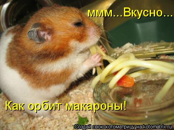 Котоматрица: ммм...Вкусно... Как орбит макароны!