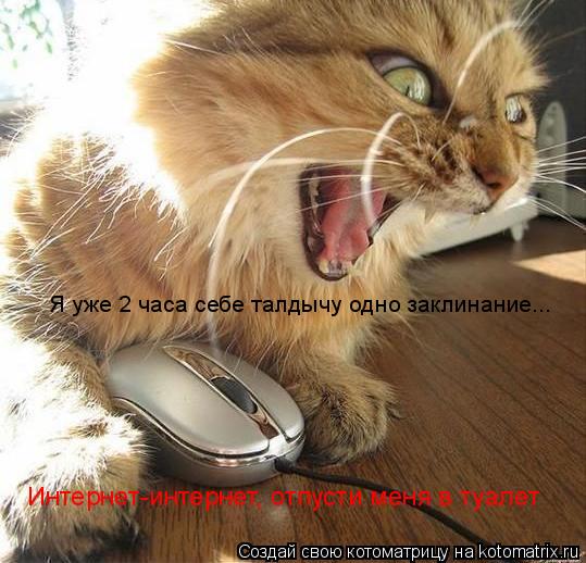 Котоматрица: Я уже 2 часа себе талдычу одно заклинание... Интернет-интернет, отпусти меня в туалет