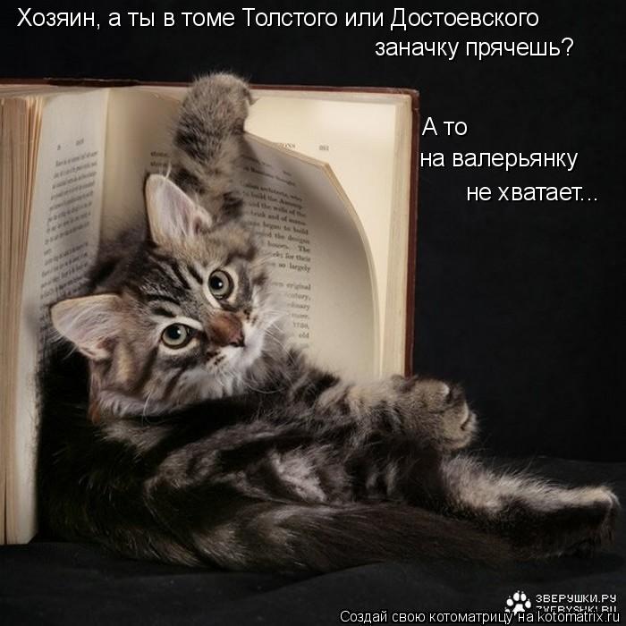 Хозяин, а ты в томе Толстого или Достоевского заначку прячешь? А то на валерьянку не хватает...... Котоматрица: Хозяин, а ты в томе Толстого или Достоевского заначку прячешь? А то на валерьянку не хватает...
