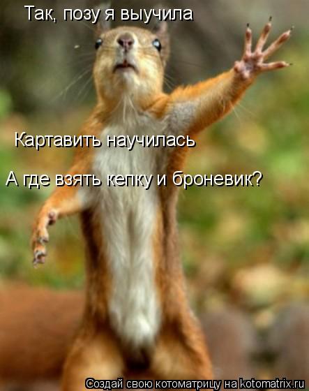 Так, позу я выучила Картавить научилась А где взять кепку и броневик?... Котоматрица: Так, позу я выучила Картавить научилась А где взять кепку и броневик?