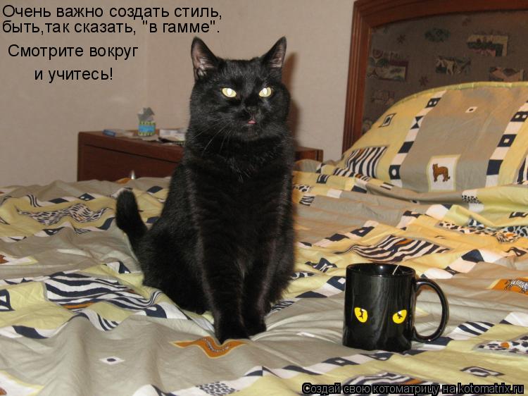 Очень важно создать стиль, быть,так сказать, "в гамме". Смотрите вокруг и учитесь!... Котоматрица: Очень важно создать стиль, быть,так сказать, "в гамме". Смотрите вокруг и учитесь!
