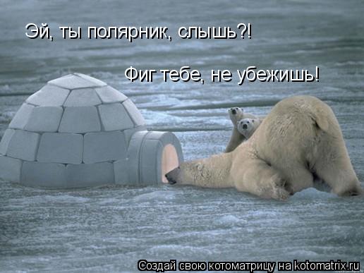 Эй, ты полярник, слышь?! Фиг тебе, не убежишь!... Котоматрица: Эй, ты полярник, слышь?! Фиг тебе, не убежишь!