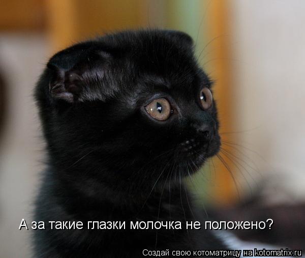 А за такие глазки молочка не положено?... Котоматрица: А за такие глазки молочка не положено?