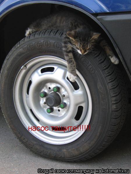 насос тащите!!!!!!... Котоматрица: насос тащите!!!!!!