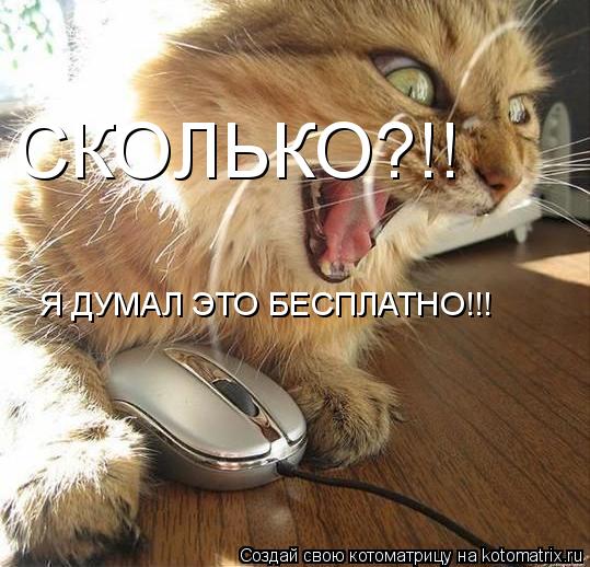 Котоматрица: СКОЛЬКО?!! Я ДУМАЛ ЭТО БЕСПЛАТНО!!!