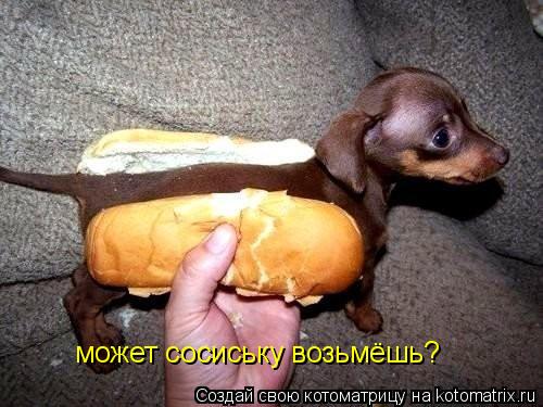 Котоматрица: может сосиську возьмёшь?