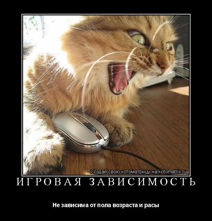 Игровая зависимость Не зависима от пола возраста и расы... Котоматрица: Игровая зависимость Не зависима от пола возраста и расы