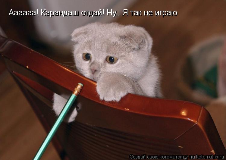 Котоматрица: Аааааа! Карандаш отдай! Ну.. Я так не играю