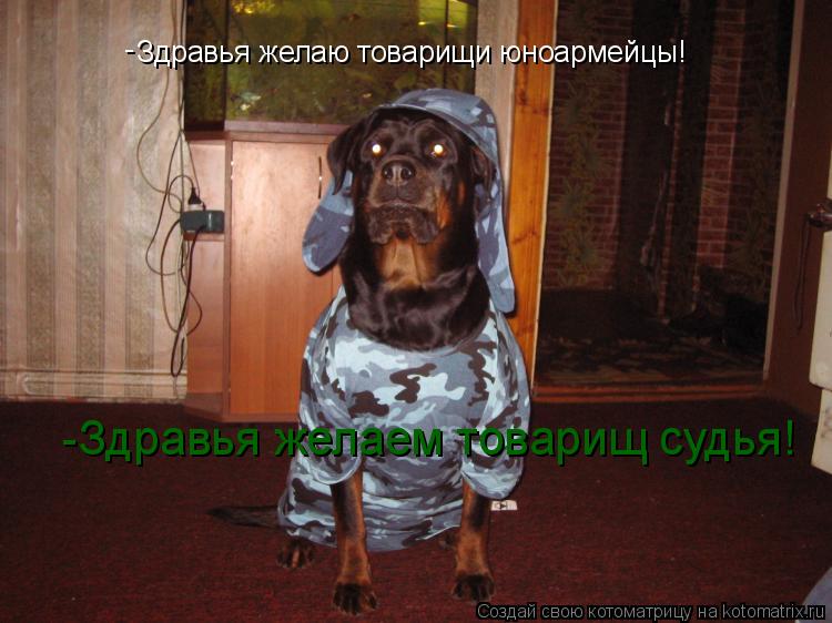 Котоматрица: Здравья желаю товарищи юноармейцы! - -Здравья желаем товарищ судья!