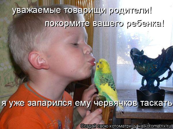 Котоматрица: уважаемые товарищи родители! покормите вашего ребенка! я уже запарился ему червячков таскать!