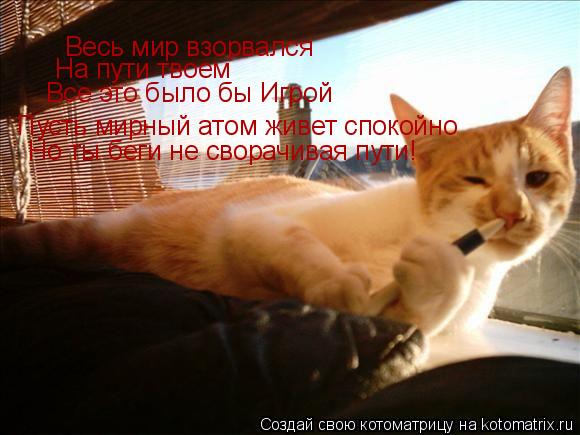 Весь мир взорвался На пути твоем Все это было бы Игрой Пусть мирный атом живет спокойно Но ты беги не... Котоматрица: Весь мир взорвался На пути твоем Все это было бы Игрой Пусть мирный атом живет спокойно Но ты беги не сворачивая пути!