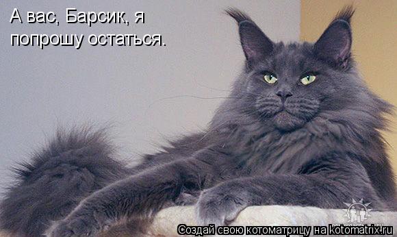 Котоматрица: А вас, Барсик, я попрошу остаться.