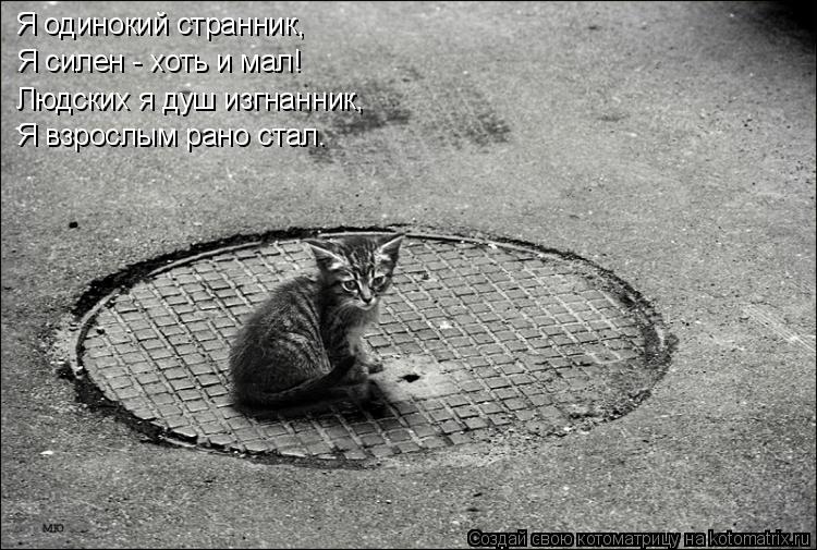 Котоматрица: Я одинокий странник, Я силен - хоть и мал! Людских я душ изгнанник, Я взрослым рано стал.