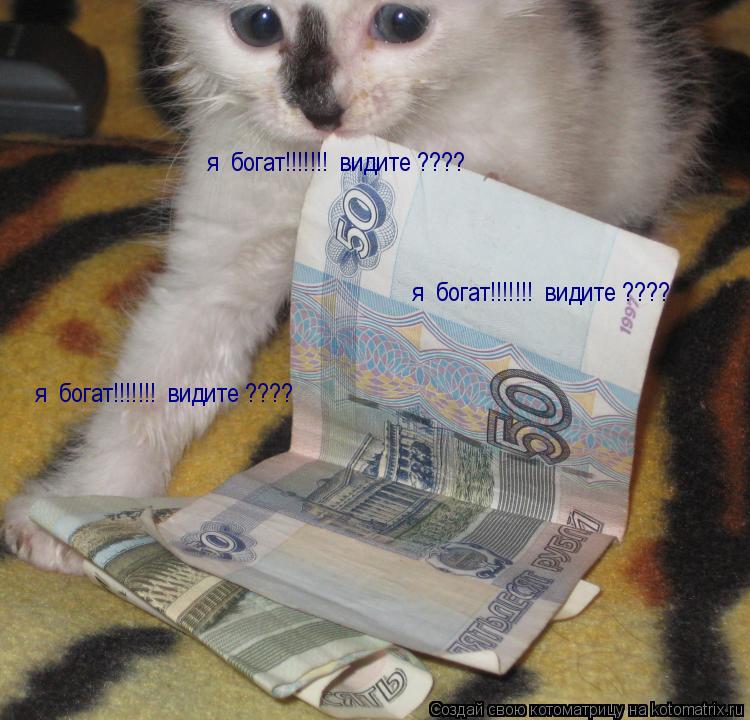 Котоматрица: я  богат!!!!!!!  видите ???? я  богат!!!!!!!  видите ???? я  богат!!!!!!!  видите ????