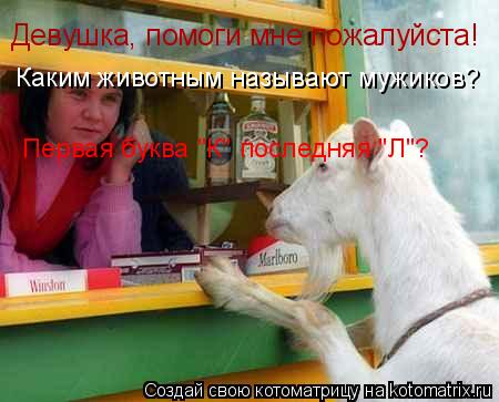 Котоматрица: Девушка, помоги мне пожалуйста!  Каким животным называют мужиков? Первая буква "К" последняя "Л"?