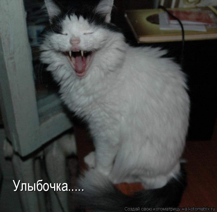 Котоматрица: Улыбочка.....